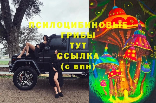 кокаин Каменногорск