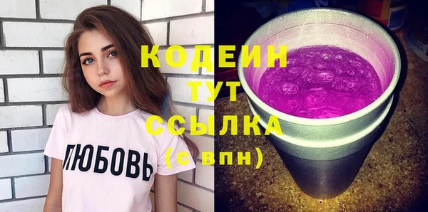 амф Каменка