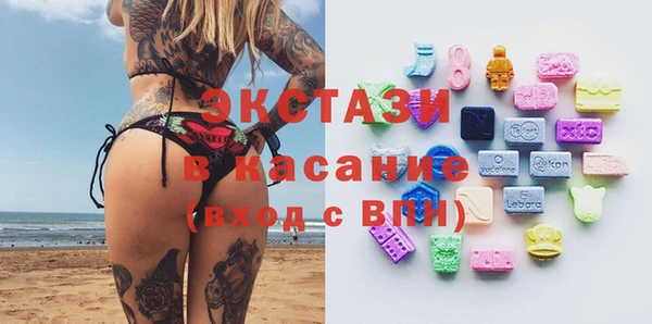 амф Каменка