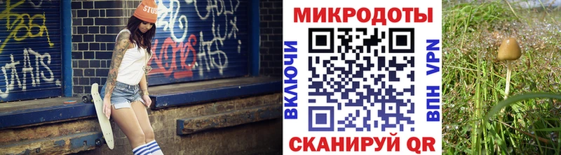 Псилоцибиновые грибы ЛСД Кола