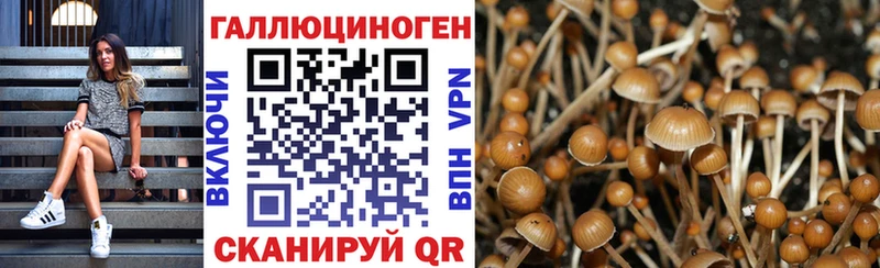 Галлюциногенные грибы Psilocybe  Купить где  Кола 